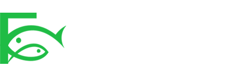 小肥鱼网创-十年互联网创业实战派 | 专注精准流量获取与转化