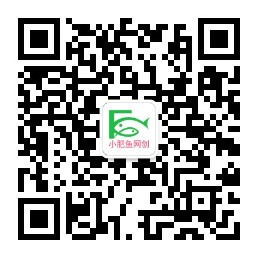小肥鱼网创公众号二维码