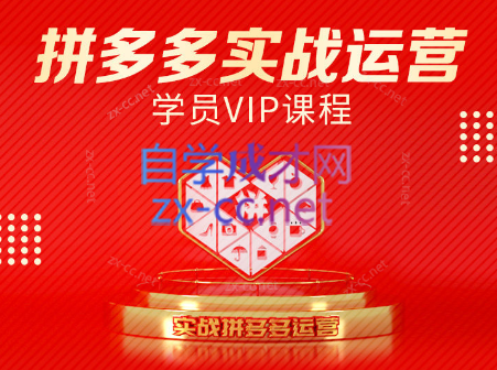2025拼多多店铺运营秘籍：从小白到大卖的蜕变之路-小肥鱼网创-十年互联网创业实战派 | 专注精准流量获取与转化