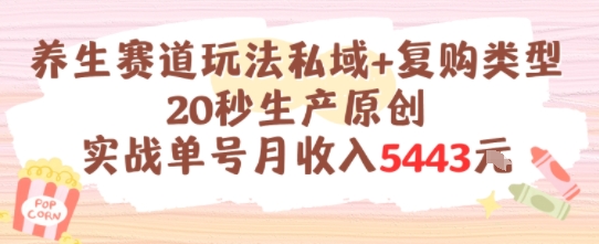 “养生赛道私域运营的秘诀：如何让你的单号月收入飙升？”