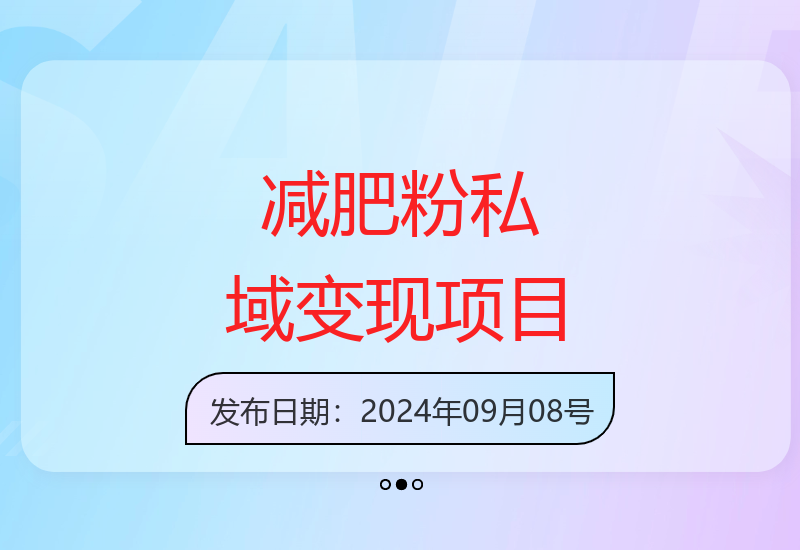 小红书减肥粉，私域变现项目，一单就达210元，小白也能轻松上手【揭秘】