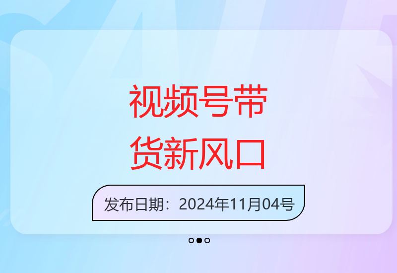 2024下半年视频号带货实操指南 高效增收技巧解析-小肥鱼网创-十年互联网创业实战派 | 专注精准流量获取与转化