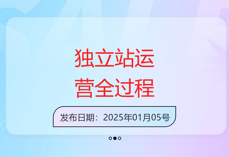 独立站新手体系化运营：精准选品、高效建站、快速盈利-小肥鱼网创-十年互联网创业实战派 | 专注精准流量获取与转化