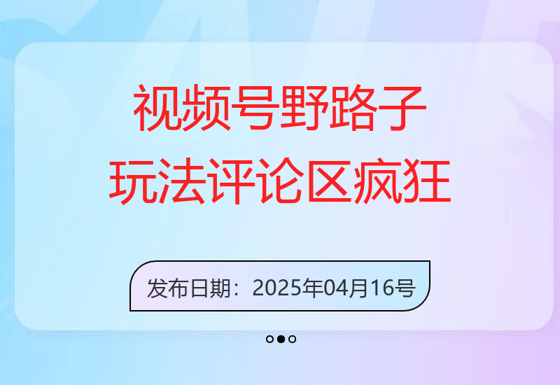 视频号“野路子”玩法，评论区疯狂截流，一套模板单日单号引流50+创业粉-小肥鱼网创-十年互联网创业实战派 | 专注精准流量获取与转化