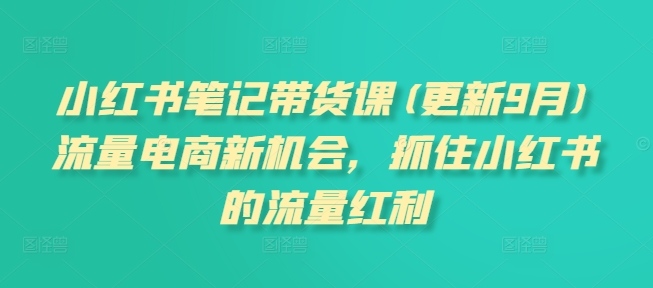 小红书笔记带货课(2025年6月更新)：电商流量变现新机遇-小肥鱼网创-十年互联网创业实战派 | 专注精准流量获取与转化
