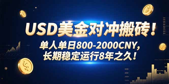 美金对冲搬砖实战指南：八年老手教你如何日赚2000CNY的低风险套利方法