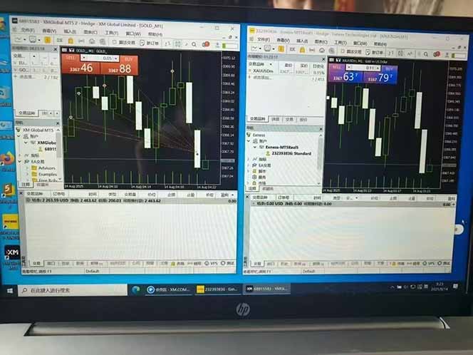 美金对冲创业项目深度解析：日入1000-3000的小众暴力项目，8年稳定运营的秘诀