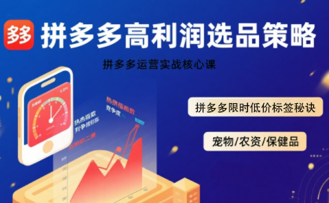 如何在拼多多实现高利润选品？30天低风险盈利实战课解析
