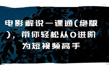 电影解说一课通(绝版)，带你轻松从0进阶为短视频高手-小肥鱼网创-十年互联网创业实战派 | 专注精准流量获取与转化