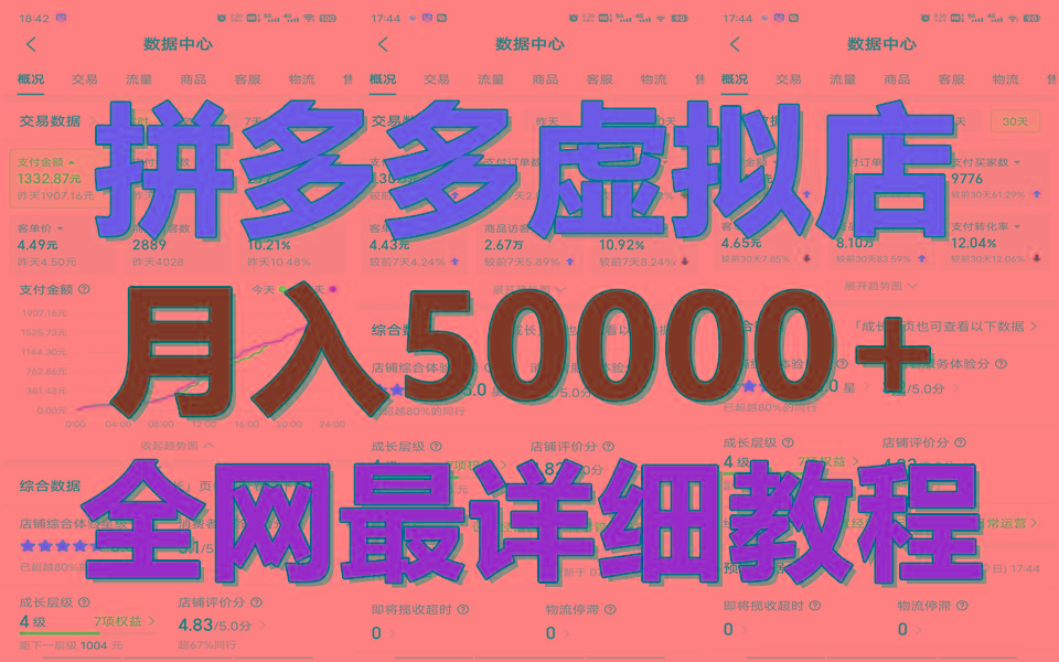 拼多多虚拟电商训练营月入50000+你也行，暴利稳定长久，副业首选-小肥鱼网创-十年互联网创业实战派 | 专注精准流量获取与转化