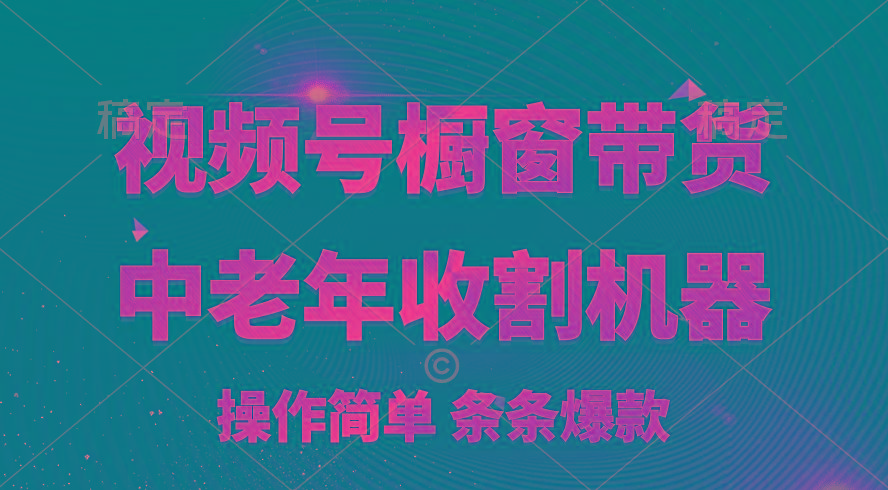 [你的孩子成功取得高位]视频号最火爆赛道，橱窗带货，流量分成计划，条…-小肥鱼网创-十年互联网创业实战派 | 专注精准流量获取与转化