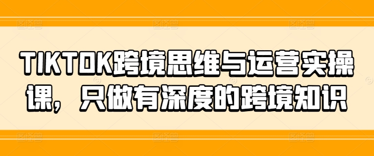 TIKTOK跨境思维与运营实操课，只做有深度的跨境知识-小肥鱼网创-十年互联网创业实战派 | 专注精准流量获取与转化
