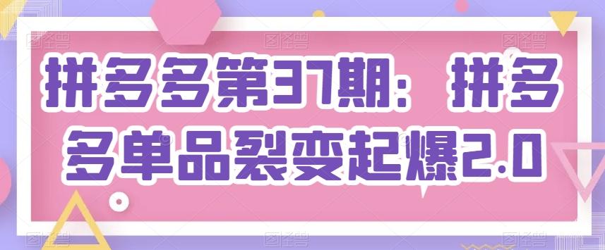 拼多多第37期：拼多多单品裂变起爆2.0-小肥鱼网创-十年互联网创业实战派 | 专注精准流量获取与转化