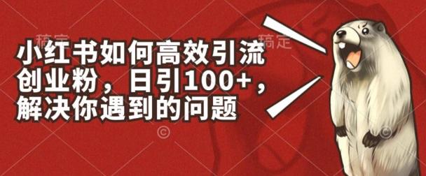 小红书如何高效引流创业粉，日引100+，解决你遇到的问题【揭秘】-小肥鱼网创-十年互联网创业实战派 | 专注精准流量获取与转化