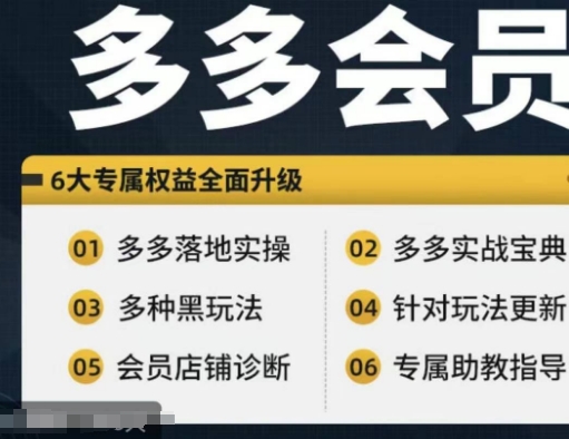 拼多多会员，拼多多实战宝典+实战落地实操，从新手到高阶内容全面覆盖-小肥鱼网创-十年互联网创业实战派 | 专注精准流量获取与转化