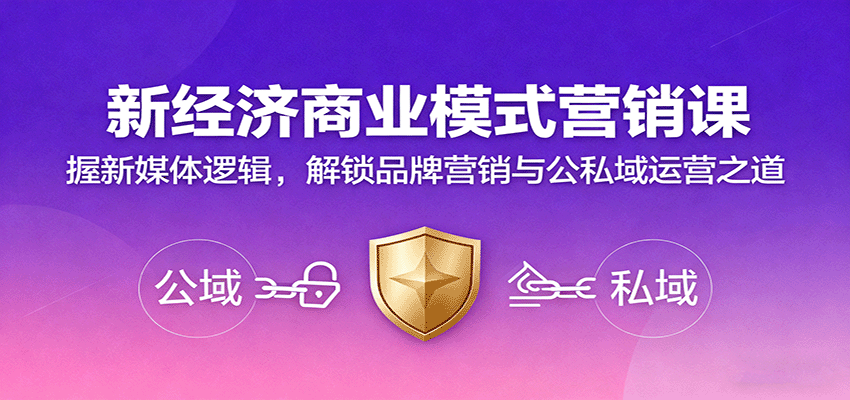 掌握新媒体逻辑，提升品牌营销效果，实现流量转化率提升50%