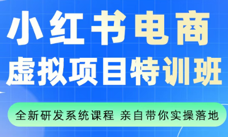 小红书虚拟产品营销秘籍：新手快速上手，打造稳定盈利店铺
