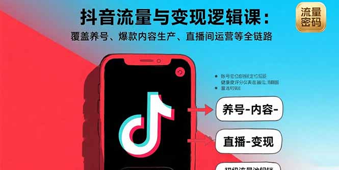抖音流量变现全攻略：短视频直播私域实战技巧，快速增长粉丝数