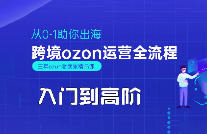 悟空跨境OZON开店全攻略：从新手到高手的进阶之路