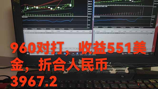 如何通过稳定的美金收益项目实现月入过万，团队操作更佳