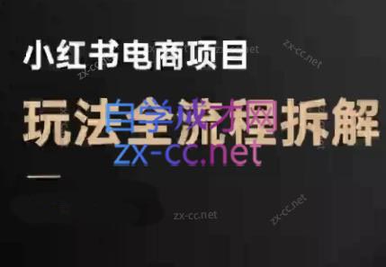 小红书电商运营实战技巧：流量获取与选品策略深度解析