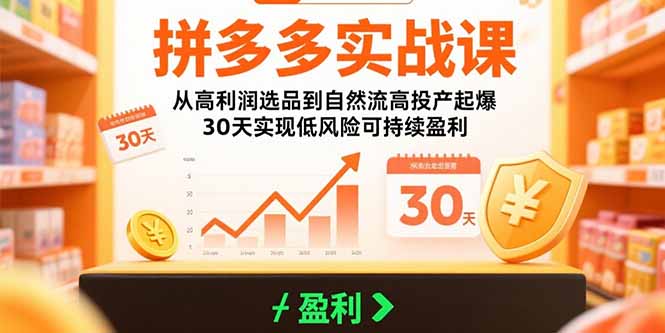 拼多多高利润选品自然流高投产技巧，30天低风险可持续盈利方法分享