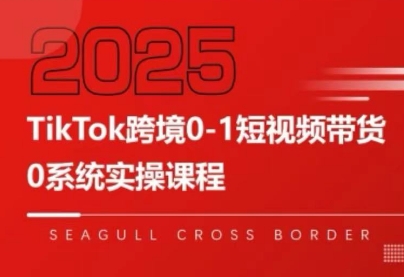 如何通过大亿老师TikTok跨境短视频带货课程实现0到1的盈利突破