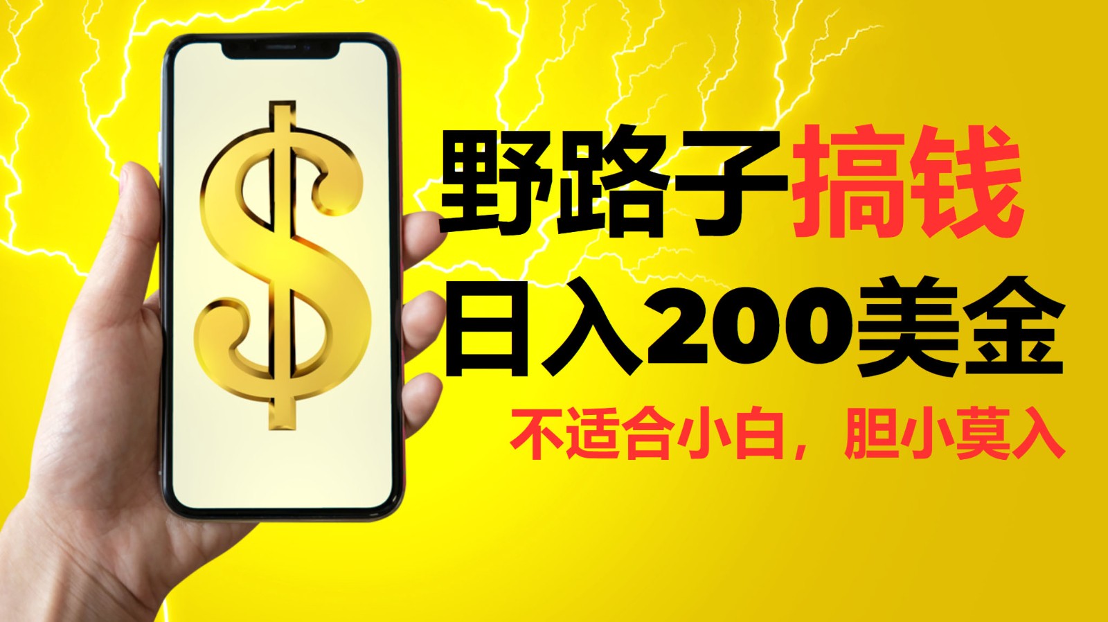 外网挂机项目深度解析：收益高但风险大，适合专业人士操作