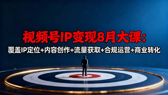 视频号IP变现全攻略：系统学习定位、内容、流量，打造高利润带货模型