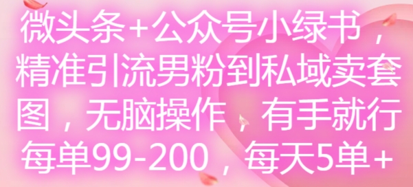 微头条+公众号小绿书，精准引流男粉到私域卖套图，无脑操作，有手就行，每单99-200，每天5单-小肥鱼网创-十年互联网创业实战派 | 专注精准流量获取与转化