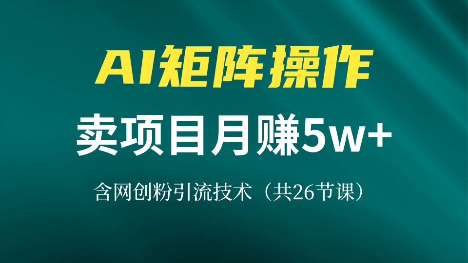 网创IP打造课，借助AI卖项目月赚5万+，含引流技术(共26节课-小肥鱼网创-十年互联网创业实战派 | 专注精准流量获取与转化