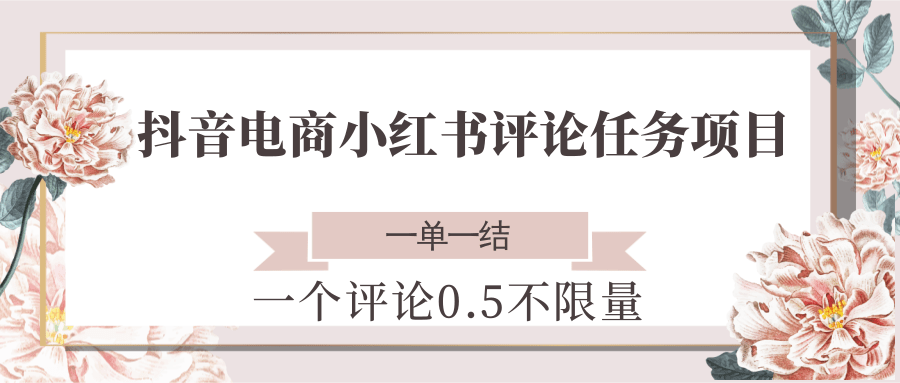 抖音电商小红书评论任务项目，一个评论0.5，一单一结 不限量-小肥鱼网创-十年互联网创业实战派 | 专注精准流量获取与转化