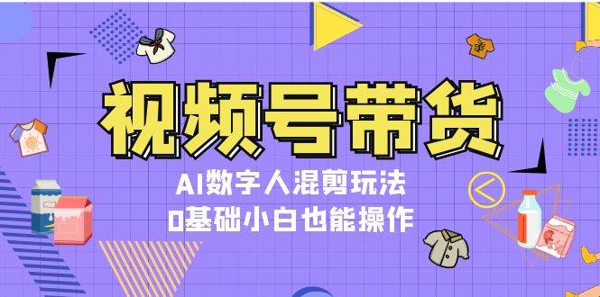 视频号带货，AI数字人混剪玩法，0基础小白也能操作-小肥鱼网创-十年互联网创业实战派 | 专注精准流量获取与转化