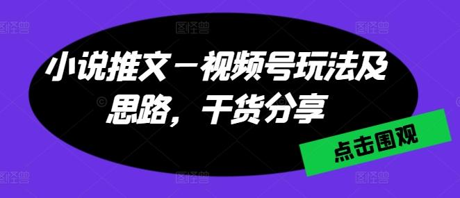 小说推文—视频号玩法及思路，干货分享-小肥鱼网创-十年互联网创业实战派 | 专注精准流量获取与转化