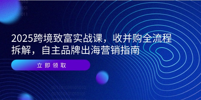 2025跨境致富实战课，收并购全流程拆解，自主品牌出海营销指南-小肥鱼网创-十年互联网创业实战派 | 专注精准流量获取与转化