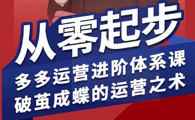 拼多多运营全流程指南：打造爆款的实战技巧，新手开店到盈利增长的系统课-小肥鱼网创-十年互联网创业实战派 | 专注精准流量获取与转化