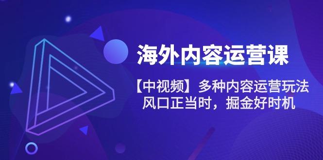 海外内容 运营课【中视频】多种内容运营玩法 风口正当时 掘金好时机-101节-小肥鱼网创-十年互联网创业实战派 | 专注精准流量获取与转化