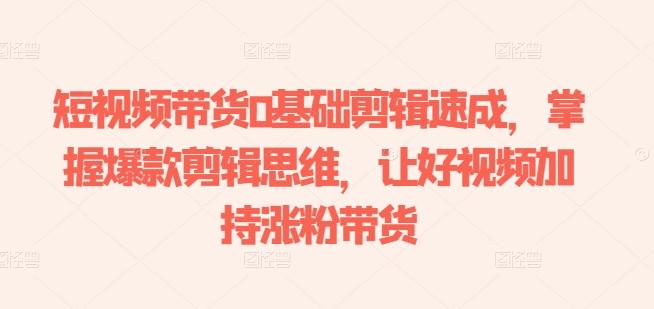 短视频带货0基础剪辑速成，掌握爆款剪辑思维，让好视频加持涨粉带货-小肥鱼网创-十年互联网创业实战派 | 专注精准流量获取与转化