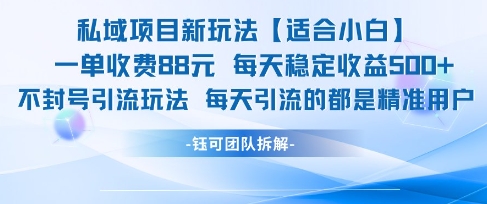 私域项目新玩法【适合小白】 一单收费88.每天稳定收益几张-小肥鱼网创-十年互联网创业实战派 | 专注精准流量获取与转化