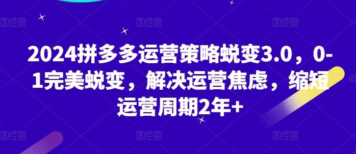 2024拼多多运营策略蜕变3.0，0-1完美蜕变，解决运营焦虑，缩短运营周期2年+-小肥鱼网创-十年互联网创业实战派 | 专注精准流量获取与转化