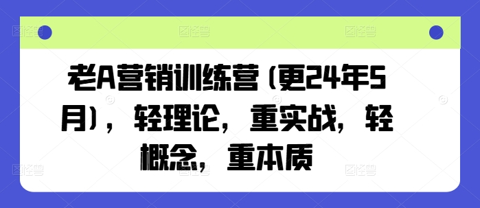 老A营销训练营(更25年6月)，轻理论，重实战，轻概念，重本质-小肥鱼网创-十年互联网创业实战派 | 专注精准流量获取与转化