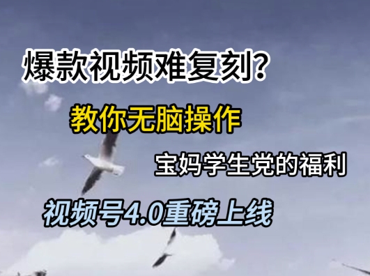 视频号4.0重磅上线，爆款视频难复刻？教你无脑操作宝妈学生党的福利【揭秘】-小肥鱼网创-十年互联网创业实战派 | 专注精准流量获取与转化