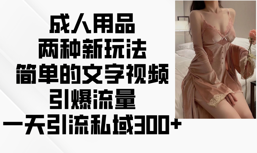 成人用品两种新玩法，简单的文字视频引爆流量，一天引流私域300+-小肥鱼网创-十年互联网创业实战派 | 专注精准流量获取与转化