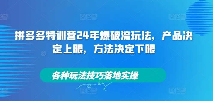 拼多多特训营24年爆破流玩法，产品决定上限，方法决定下限，各种玩法技巧落地实操-小肥鱼网创-十年互联网创业实战派 | 专注精准流量获取与转化
