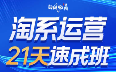 白凤电商·淘系运营21天速成班(更新5月)-小肥鱼网创-十年互联网创业实战派 | 专注精准流量获取与转化