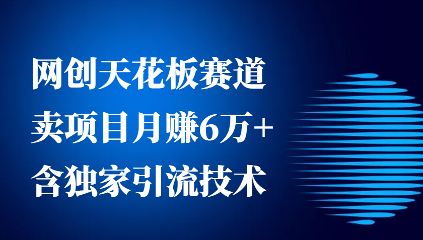 网创天花板赛道，卖项目月赚6万+，含独家引流技术(共26节课)-小肥鱼网创-十年互联网创业实战派 | 专注精准流量获取与转化