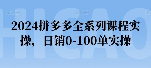 2024拼多多全系列课程实操，日销0-100单实操【必看】-小肥鱼网创-十年互联网创业实战派 | 专注精准流量获取与转化