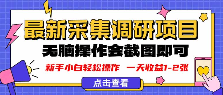 2025最新采集调研项目实操方法：截图上传日赚1-2张的傻瓜式操作