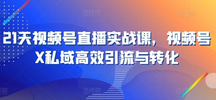 21天视频号直播实战课，视频号X私域高效引流与转化-小肥鱼网创-十年互联网创业实战派 | 专注精准流量获取与转化