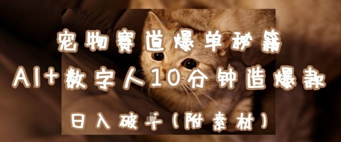 宠物赛道爆单秘籍：AI+数字人10分钟造爆款，日入1k-小肥鱼网创-十年互联网创业实战派 | 专注精准流量获取与转化